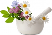 Cure complementari nel percorso di cura San Pietro in Lama Lecce 17 aprile 2015 (news)